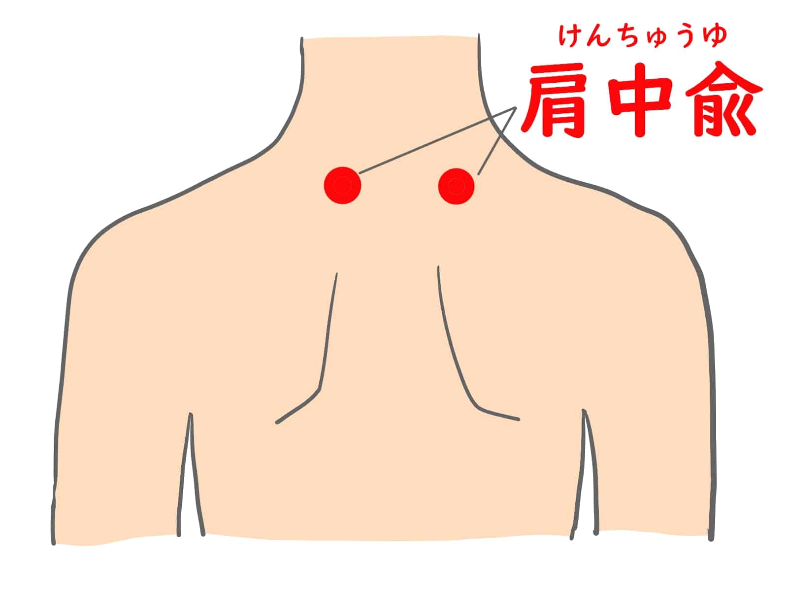 肩中兪